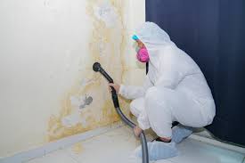 Best Biohazard Mold Removal  in Johnston City, IL